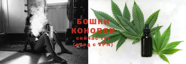 кокс Болотное