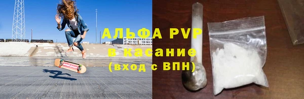 прущие грибы Балабаново