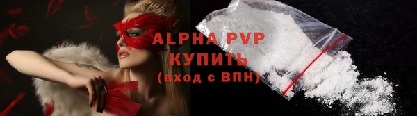 мет Алексин
