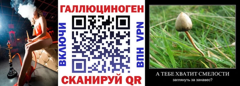 Псилоцибиновые грибы прущие грибы  как найти наркотики  hydra сайт  Жиздра 